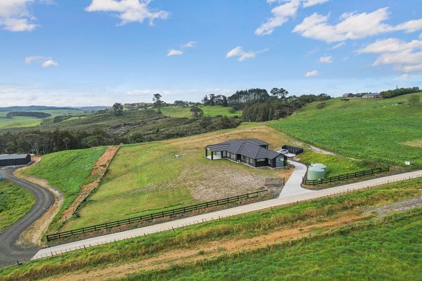 Brand New Lifestyle Home in Helensville - Photo 1