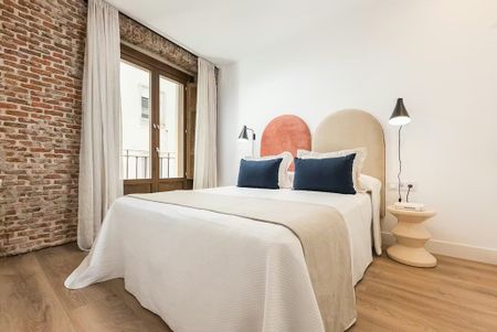 Calle de Santa Ana, Madrid, Community of Madrid 28005 - Photo 5