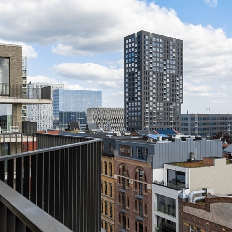 Eilandje ∣ Luxueus, gemeubeld appartement 3 slaapkamers - Foto 1