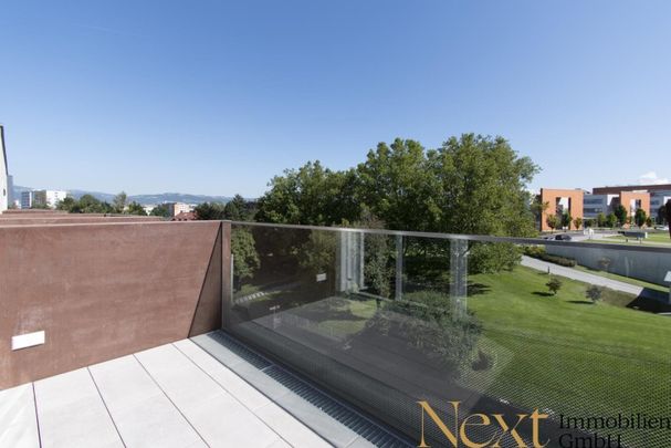 Wunderschöne 2-Zimmer-Wohnung mit Balkon in zentraler Lage in Linz nähe Hummelhofwald zu vermieten! - Foto 1