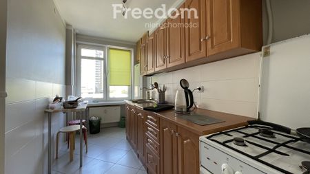 Pokój do wynajęcia, Katowice - Zdjęcie 4