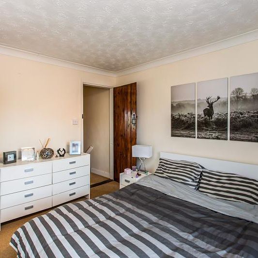 2 bedroom house to rent Albert Street, Bury St. Edmunds, IP33 - Photo 1