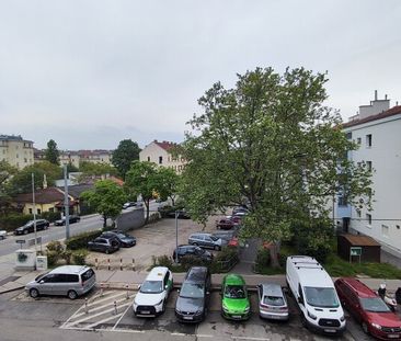 Unbefristet, wunderschöne ruhige Wohnung mit Grünblick im 2.OG, 3 M... - Photo 2