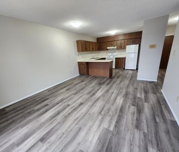 1 Bedroom Unit In The Heart Of Downtown!! - Photo 1