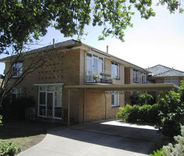 5/5 Willow Grove, Canterbury VIC 3126 - Apartment For Rent | Domain - Photo 5