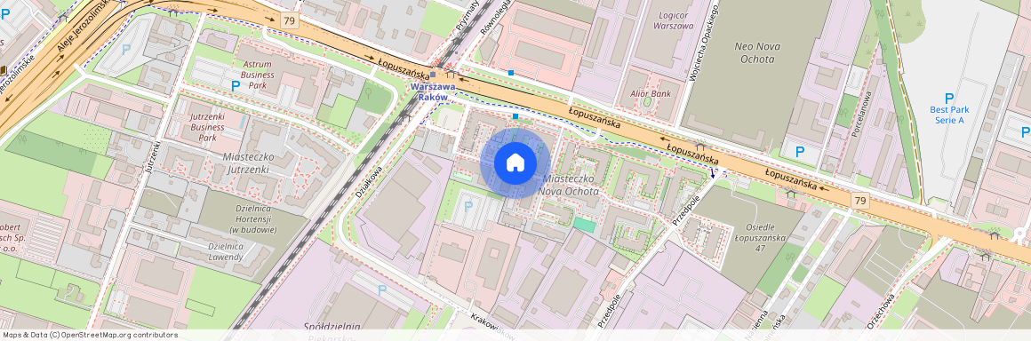 ul. Łopuszańska, Raków, Włochy, Warszawa, mazowieckie