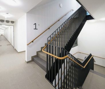 2-Zimmer-Wohnung mit großer Terrasse in Niedrigenergiehaus - zu mie... - Photo 1