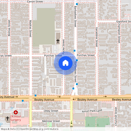 3/36 Packe Street, Edgeware, Christchurch City