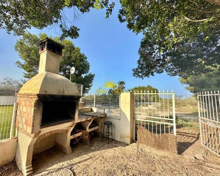 HOUSE FOR RENT WITH A PLOT OF 2,000 METERS IN ALGORFA - ALICANTE PROVINCE - Photo 4