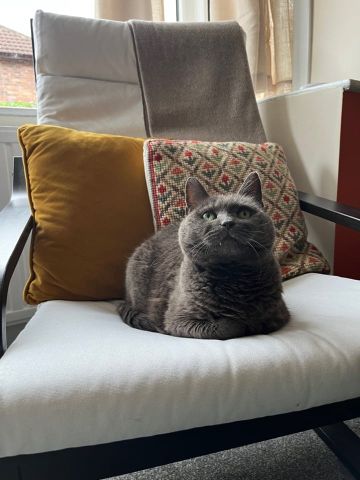 Room in a Shared House, Warrels Mount, LS13 - Photo 4