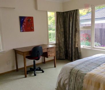 24 Longmuir Street, Ilam - Photo 5