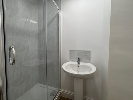 Harriet Street, Cathays - Photo 5