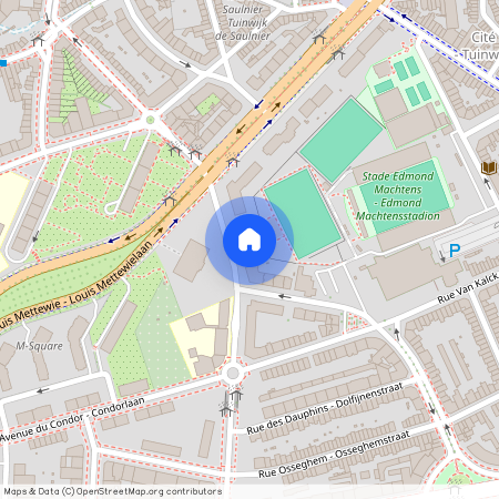 Avenue Des Tamaris - Tamariskenlaan, 33, 1080, Molenbeek