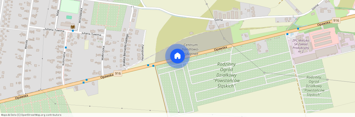 ul. Opawska, Racibórz, raciborski, śląskie