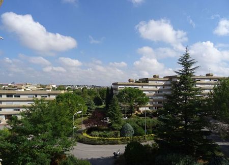 Appartement à louer 2 pièces • Montpellier - Photo 2