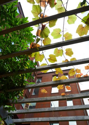 Spiggans gata, Malmö - Photo 4