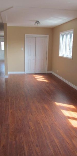 Villeray 4 1/2 Métro Jean-Talon - Photo 1