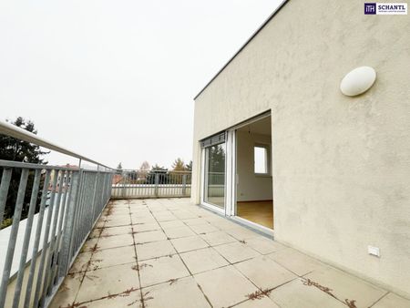 RIESIGE WESTTERRASSE mit 36m²! 2-Zimmer Wohnung im obersten Stock! Ab sofort verfügbar! Haustiere erlaubt! - Photo 4