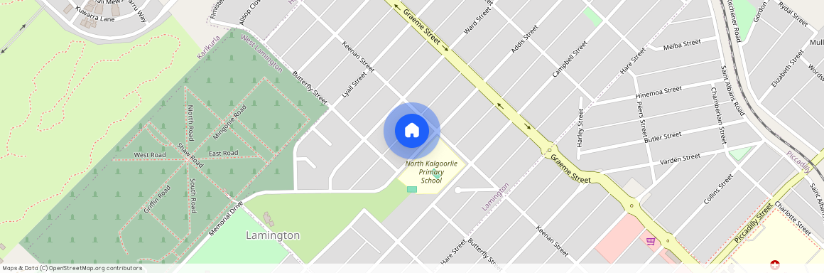 92 Addis Street, WA 6430, Lamington