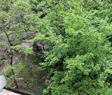 Three Bedroom Flat with Fireplace and Peaceful View - Cismigiu Park - Photo 6