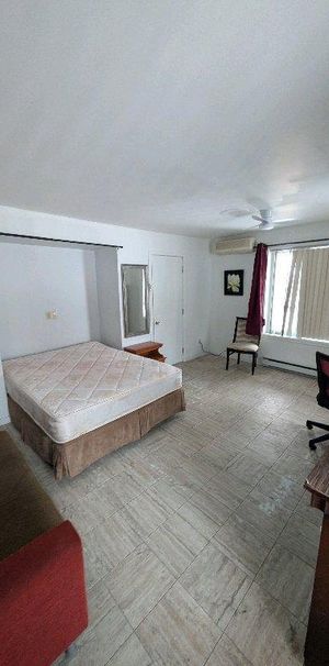 grande chambre avec un bureau - Photo 1