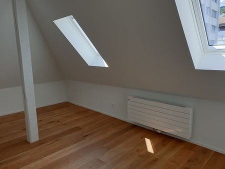 Bel appartement de 3 pièces à proximité de l’Université - Photo 3