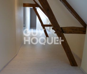 SEZANNE ** A LOUER DUPLEX ** - Photo 6