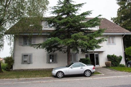 Appartement de 2 pièces avec terrasse et jouissance du jardin - Foto 3