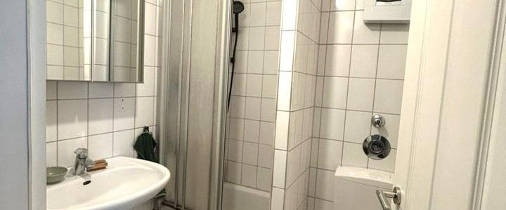 Mitten im Luisenviertel 2-Zi mit Dielenboden und Garten - Foto 1