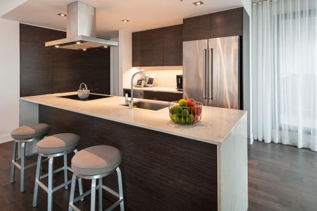 Condo à louer, Montréal (Ville-Marie) - Photo 5