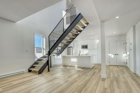 6700 Rue St Denis, Montréal (Rosemont, QC H2S - Photo 4