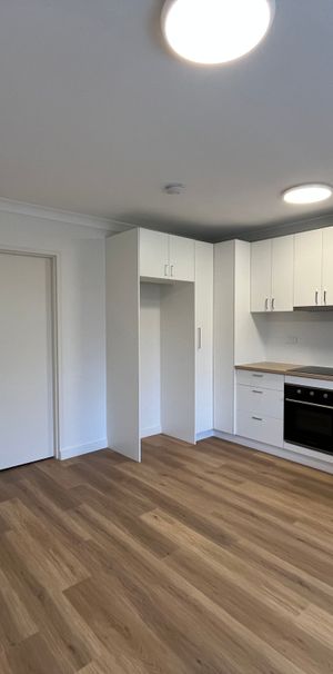 Renovated 1 bedroom flat under affordable housing for lease - Photo 1