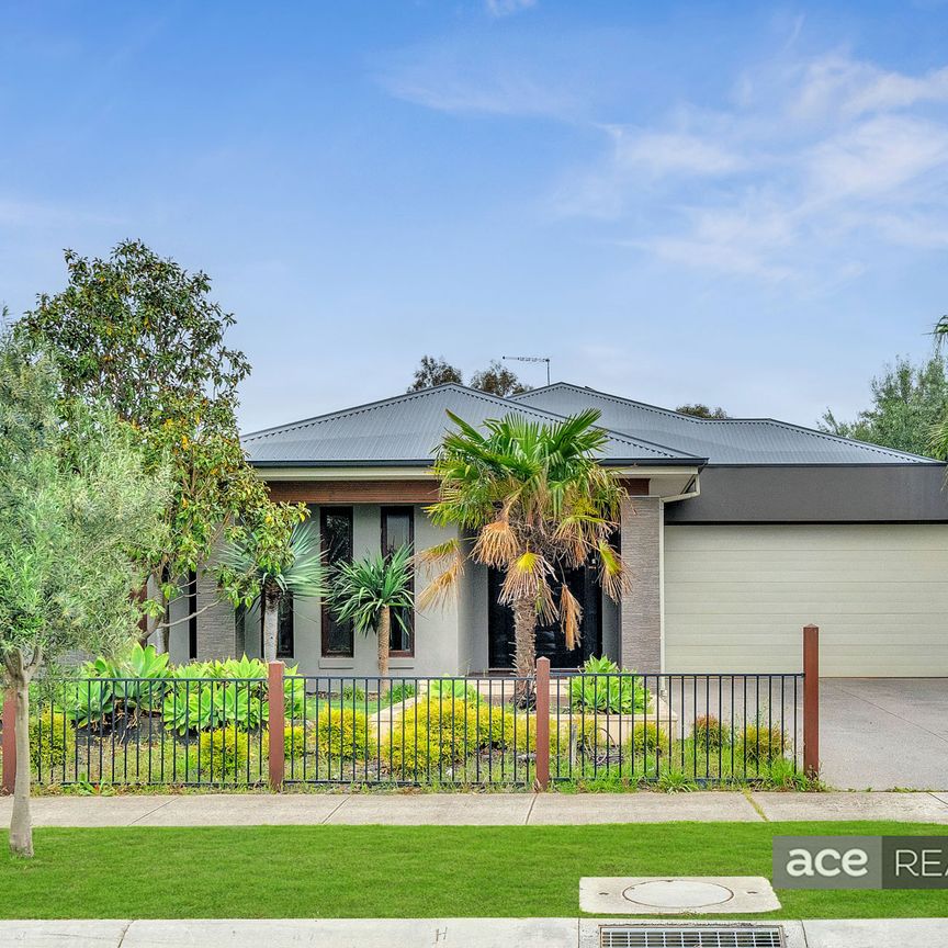 4 Zenith Avenue, Williams Landing VIC 3027 - House For Rent | Domain - Photo 1