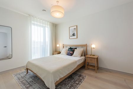 Apartment 27, 143 Merrion Road, Herbert Avenue, Dublin 4, D04 E8R9 - Photo 4