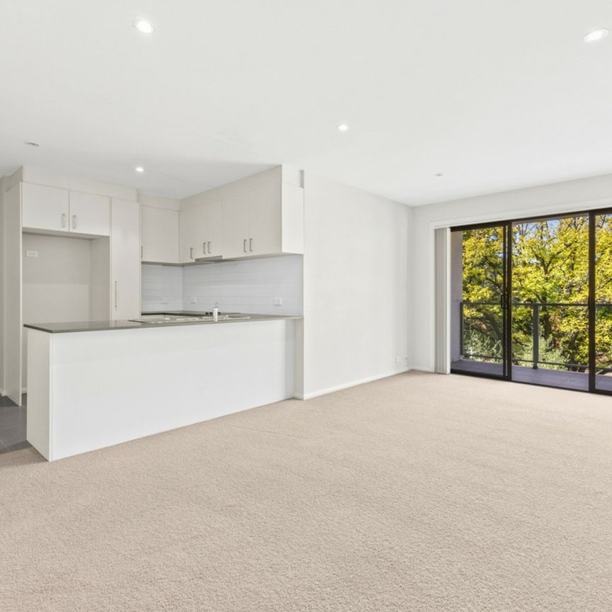 Picture Perfect - Photo 1