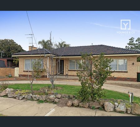 18 Mccormack Ave, Shepparton, Vic 3630 - Photo 3