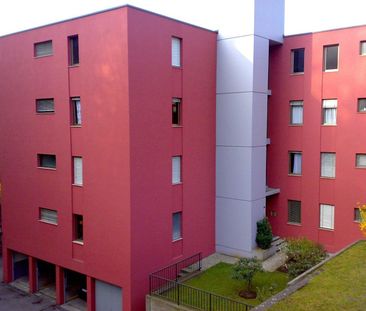Prima locazione – Nuovo 3.5 locali con balcone - Foto 6