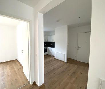 Hier ist das Glück zu Hause! Letzten zwei 2-Zimmer-Wohnungen in SC-Wolkersdorf zur Miete! - Photo 1