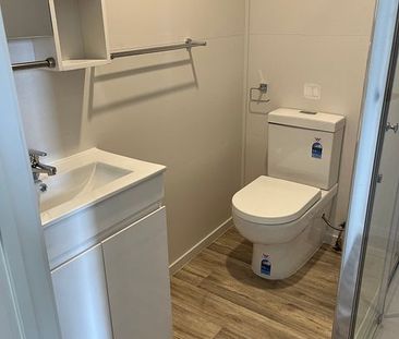 1BD plus studio tiny home Henderson - Pets OK! - Photo 3
