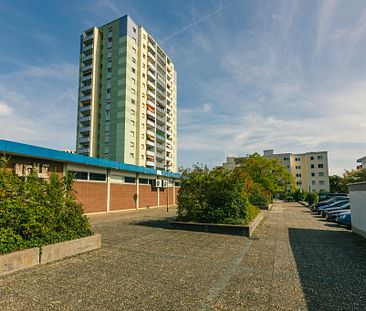 Gemütliche 1-Zimmer-Wohnung in Neustadt an der Weinstraße - Foto 2