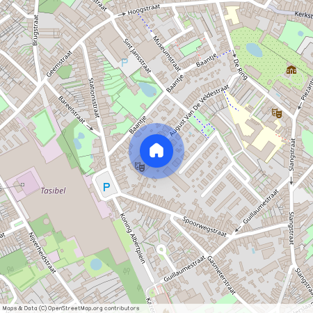 August van de Veldestraat 25, Hamme, Dendermonde