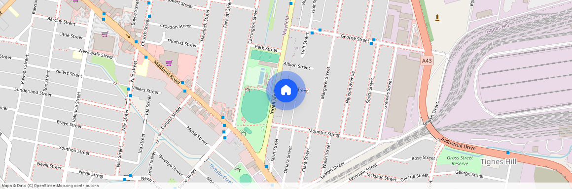 1 Gorrick Street, 2304, Mayfield, Nsw