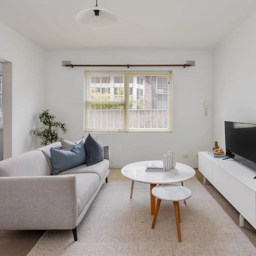 Another Successful Result By David Ibanez - Photo 1