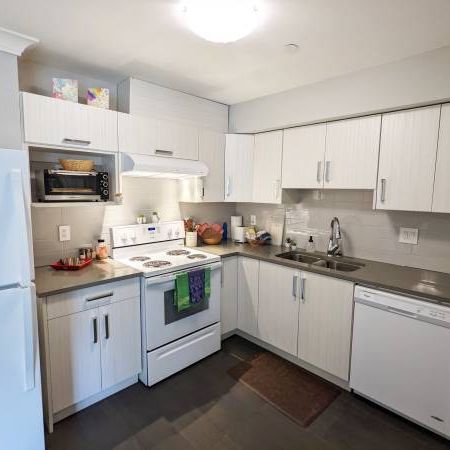 Pet friendly suite in White Rock near the beach, available Apr 1! - Photo 3