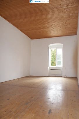 102qm historische Altbauwohnung in Krems/Stein würde sich über einen neuen Mieter sehr freuen! - Foto 1