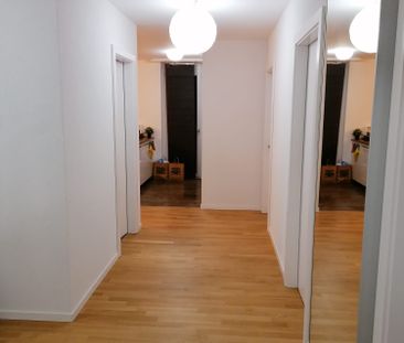 14 m² - Photo 2