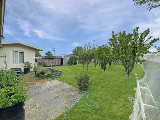 1200 Grevillea Road, Wendouree - Photo 1
