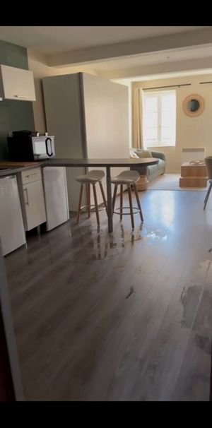 Location Appartement 1 pièce 31m² TOULOUSE 31000 - Photo 1