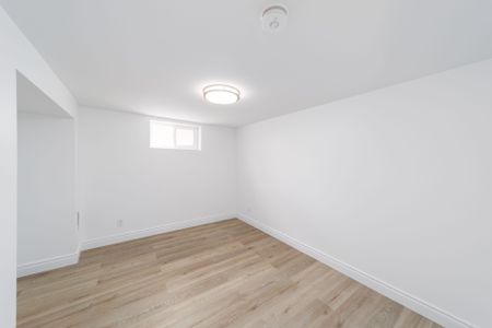 For Lease - 51 Davidson Street Unit# LOWER, Barrie, Ontario - Photo 4