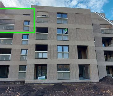 Appartement - Photo 3